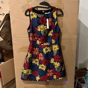 NWT Alice + Olivia A-line Dress